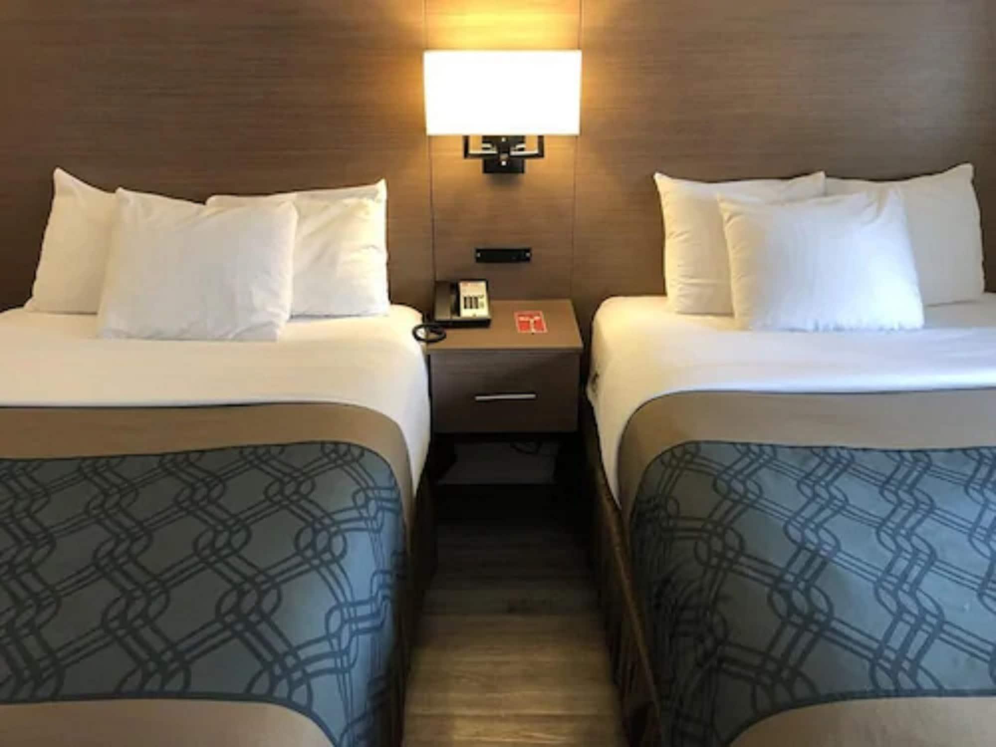 Econo Lodge Inn & Suites Downtown Toronto Buitenkant foto