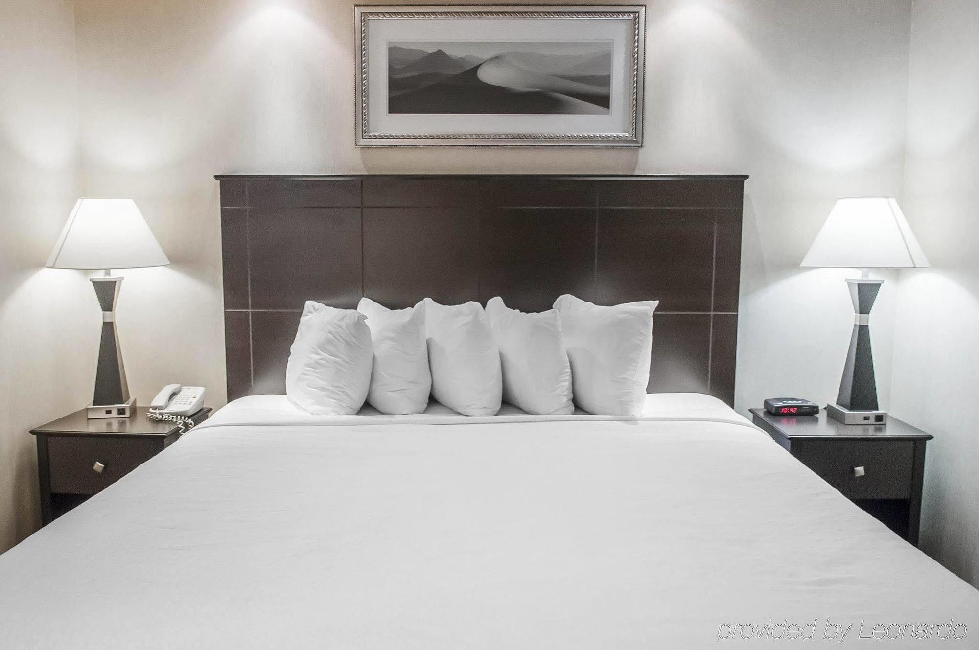 Econo Lodge Inn & Suites Downtown Toronto Buitenkant foto